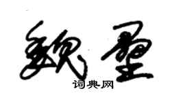 朱錫榮魏壘草書個性簽名怎么寫