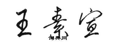 駱恆光王素宣行書個性簽名怎么寫