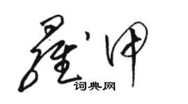 駱恆光羅甲草書個性簽名怎么寫