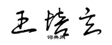 曾慶福王培玄草書個性簽名怎么寫