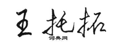 駱恆光王托拓行書個性簽名怎么寫