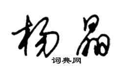 朱錫榮楊晶草書個性簽名怎么寫