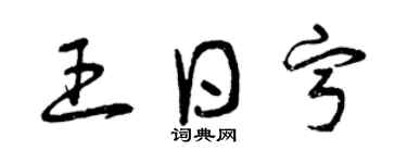 曾慶福王日寧草書個性簽名怎么寫