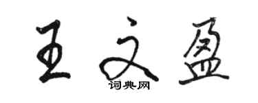 駱恆光王文盈行書個性簽名怎么寫