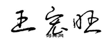 曾慶福王宏旺草書個性簽名怎么寫