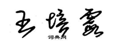 朱錫榮王培霞草書個性簽名怎么寫