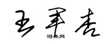 朱錫榮王軍杏草書個性簽名怎么寫