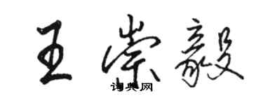 駱恆光王崇毅行書個性簽名怎么寫