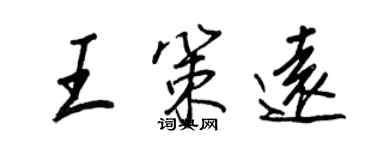 王正良王策遠行書個性簽名怎么寫