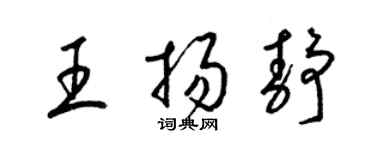 梁錦英王揚靜草書個性簽名怎么寫