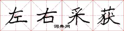 袁強左右採獲楷書怎么寫