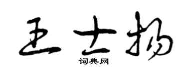 曾慶福王士揚草書個性簽名怎么寫