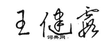 駱恆光王健霞草書個性簽名怎么寫