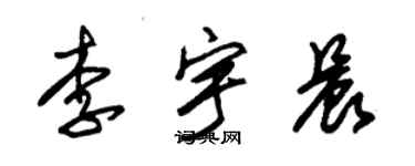 朱錫榮李宇晨草書個性簽名怎么寫