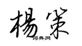 王正良楊策行書個性簽名怎么寫