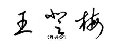 梁錦英王登梅草書個性簽名怎么寫