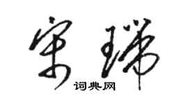 駱恆光宋瑞草書個性簽名怎么寫