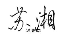 駱恆光蘇湘行書個性簽名怎么寫