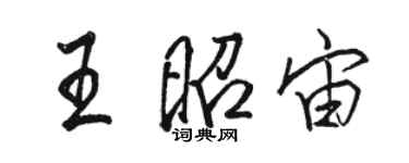 駱恆光王昭宙行書個性簽名怎么寫