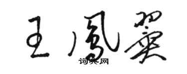 駱恆光王鳳翼草書個性簽名怎么寫