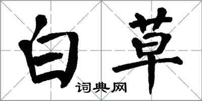 翁闓運白草楷書怎么寫