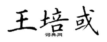 丁謙王培或楷書個性簽名怎么寫