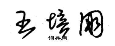 朱錫榮王培朋草書個性簽名怎么寫