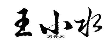 胡問遂王小水行書個性簽名怎么寫