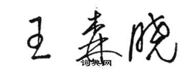 駱恆光王森曉草書個性簽名怎么寫