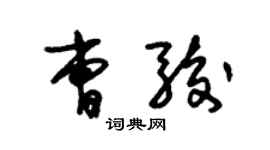 朱錫榮曹駿草書個性簽名怎么寫