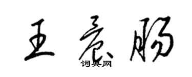 梁錦英王晨腸草書個性簽名怎么寫