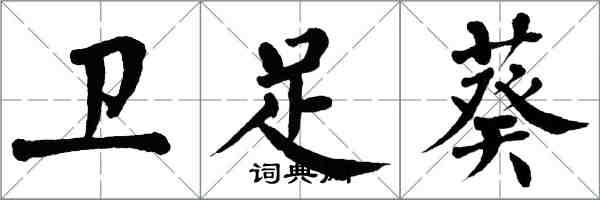 翁闓運衛足葵楷書怎么寫