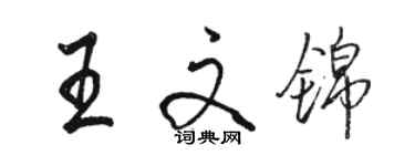 駱恆光王文錦行書個性簽名怎么寫