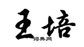 胡問遂王培行書個性簽名怎么寫
