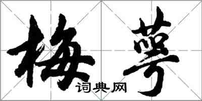 胡問遂梅萼行書怎么寫