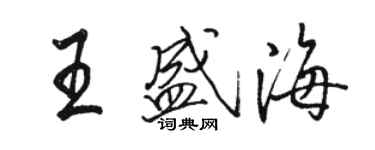 駱恆光王盛海行書個性簽名怎么寫