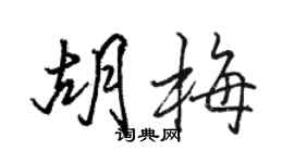 駱恆光胡梅行書個性簽名怎么寫