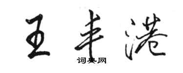 駱恆光王豐港行書個性簽名怎么寫