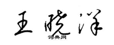 梁錦英王曉洋草書個性簽名怎么寫