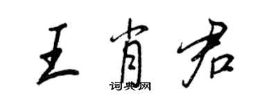 王正良王肖君行書個性簽名怎么寫