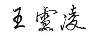 駱恆光王雪凌行書個性簽名怎么寫