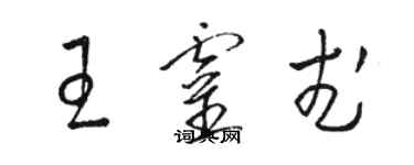 駱恆光王靈武草書個性簽名怎么寫