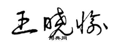 曾慶福王曉愉草書個性簽名怎么寫