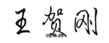 駱恆光王賀剛行書個性簽名怎么寫