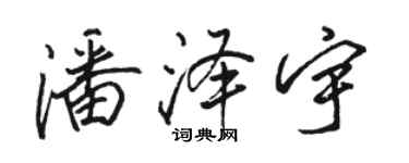 駱恆光潘澤宇行書個性簽名怎么寫