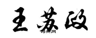 胡問遂王蘇政行書個性簽名怎么寫