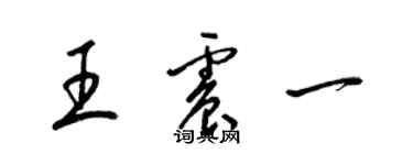 梁錦英王震一草書個性簽名怎么寫