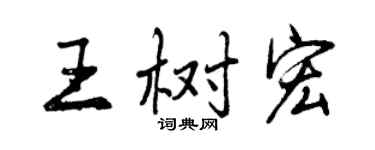 曾慶福王樹宏行書個性簽名怎么寫