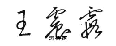 駱恆光王震霞草書個性簽名怎么寫