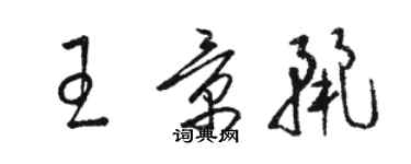 駱恆光王景麗草書個性簽名怎么寫